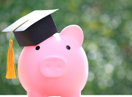 Scholarships Scholarship Pig.png