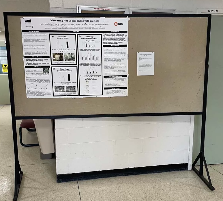 research poster board.png